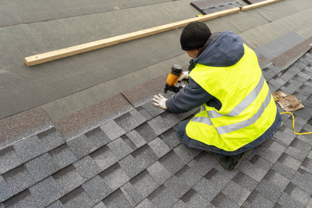 Best Roof Gutter Cleaning  in Hansen, ID